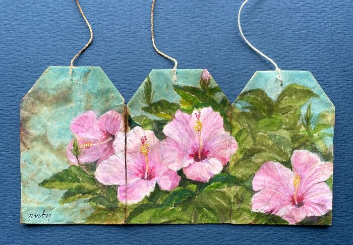 Four pink hibiscus flowers painted across three used tea bags as delicate miniature paintings.