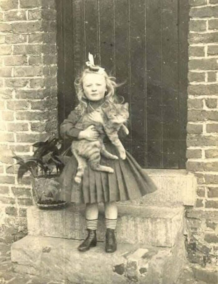 A young girl in a dress holds a striped cat on stone steps in a lovely vintage cat photo.