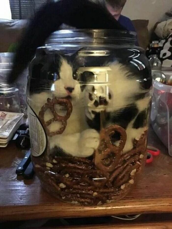 Oh, Hi