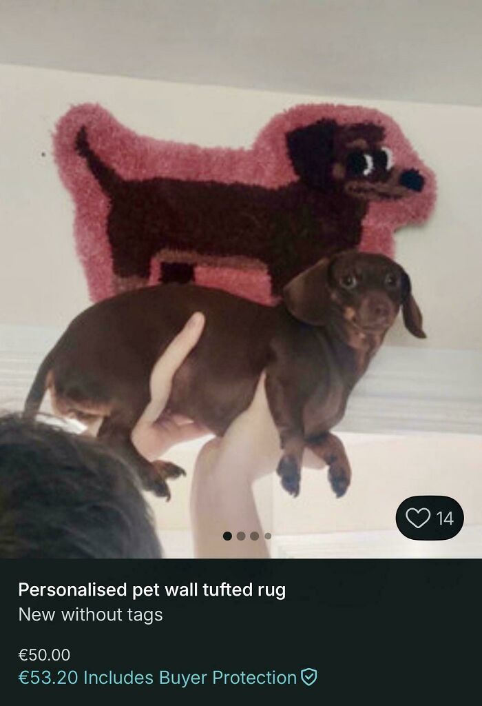 My Favourite Thing I’ve Seen On Vinted