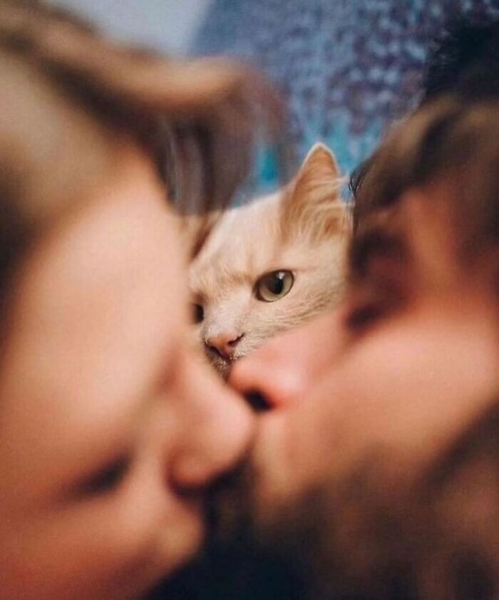 33 Hilarious Examples Of Perfect Timing Creating Unexpected And Chaotic Photos, As Shared By This Page