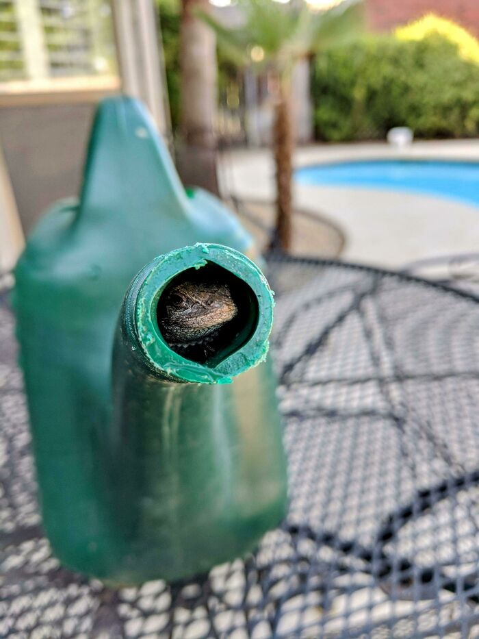 My Watering Can Wasn't Pouring Properly