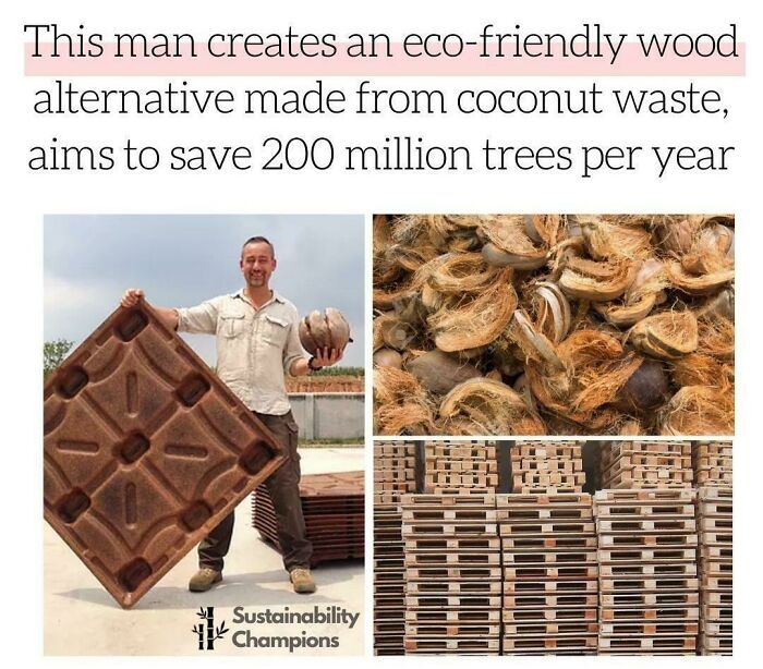 A man displaying an eco-friendly wood alternative made from coconut waste, not a forbidden food.