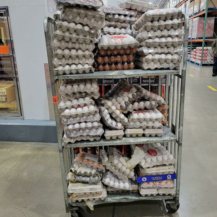 Eggs Sacrificed At Costco To Avoid Ruining Over Toddler