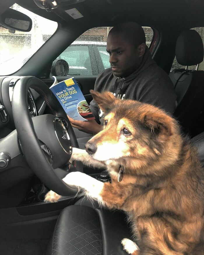 50 Nonsensical Animal Pics That Raise More Questions Than They Answer (New Pics)