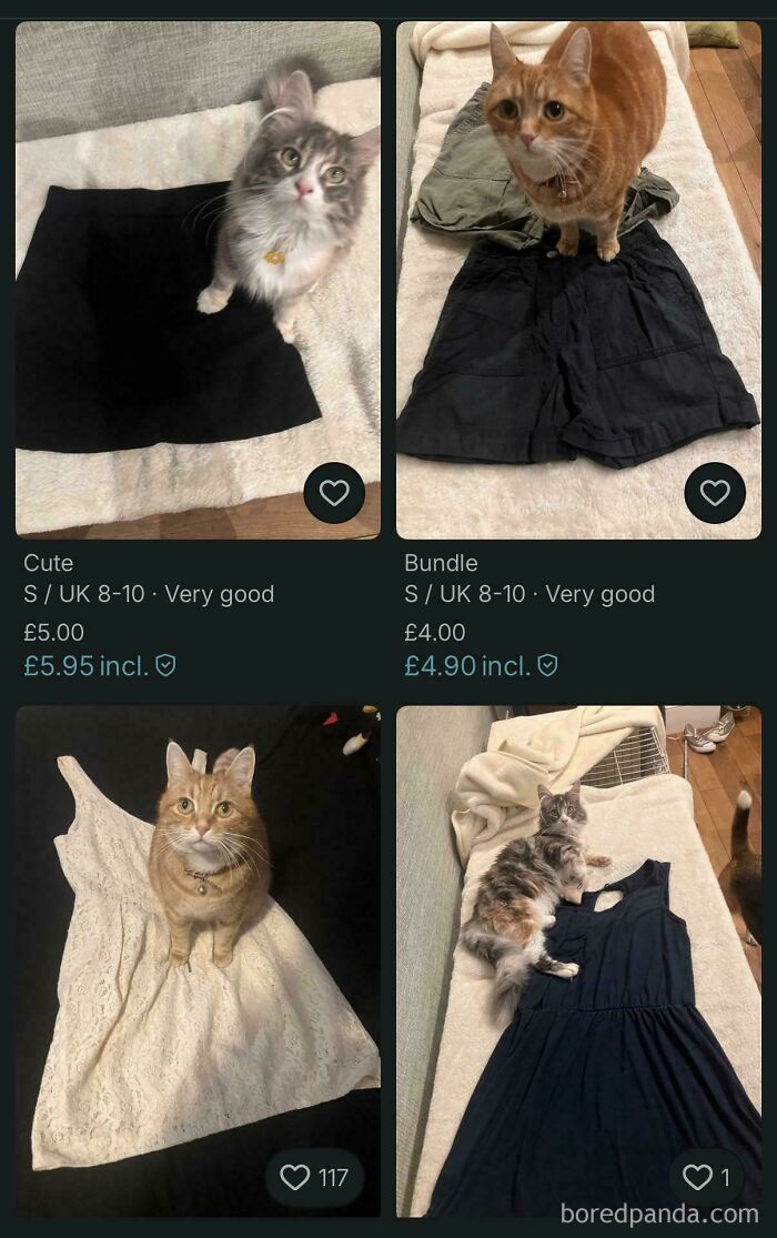 I Always Include “I Have Cats, And While Attempts To Remove All Hairs Have Been Made, Some May Remain” In The Description. But This Seller Needn’t Bother!