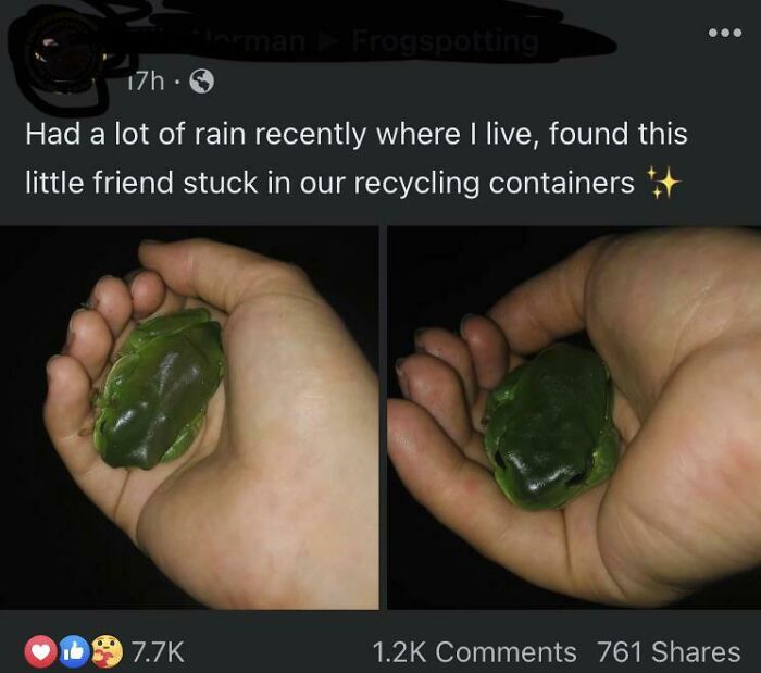 A small green frog held gently in a person's hands, illustrating a moment with nature, not one of the forbidden foods.