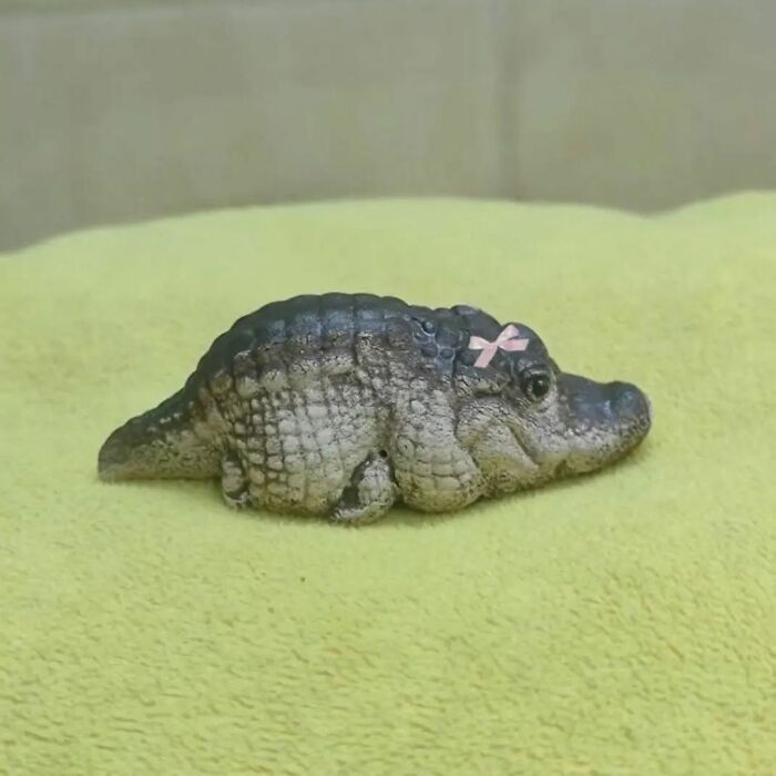 IG Account Posts Pics So Adorable, It’s Basically The Opposite Of Doom Scrolling (30 Pics)