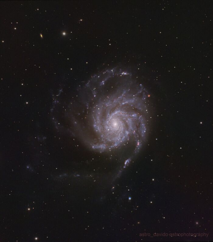 Detailed spiral galaxy captured in stunning astrophotos from Kentucky backyard