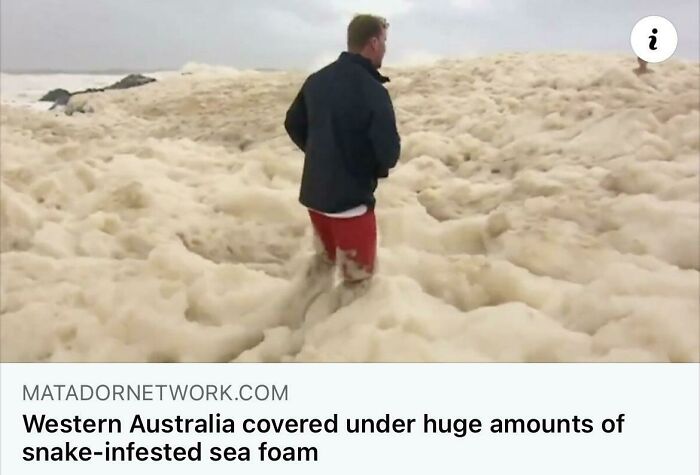 A man wading through snake-infested sea foam in Western Australia, illustrating a forbidden food environment.