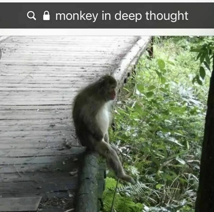 This Instagram Account Posts Hilariously Chaotic Pictures, And These 50 Are Just Too Much