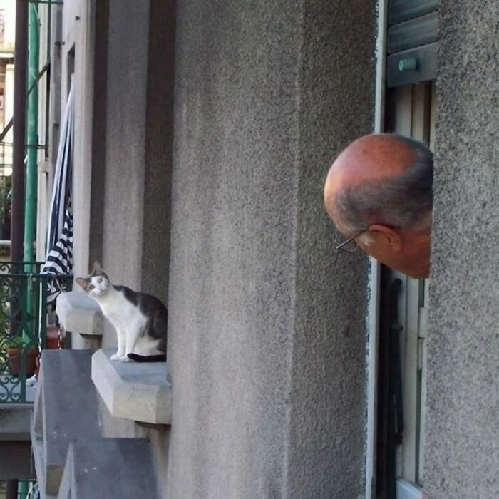 33 Hilarious Examples Of Perfect Timing Creating Unexpected And Chaotic Photos, As Shared By This Page