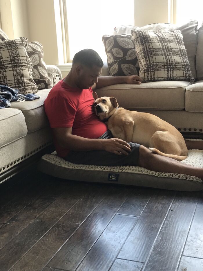 The Love Of A Rescue Dog