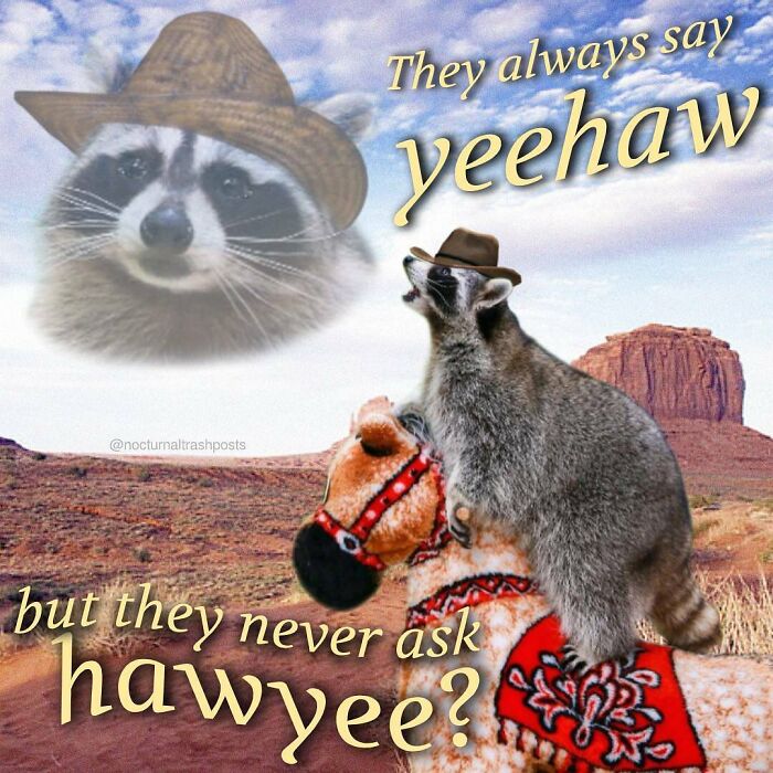 “Nocturnal Trash Posts”: 30 Of The Best Raccoon Memes This Dedicated Instagram Account Has To Offer