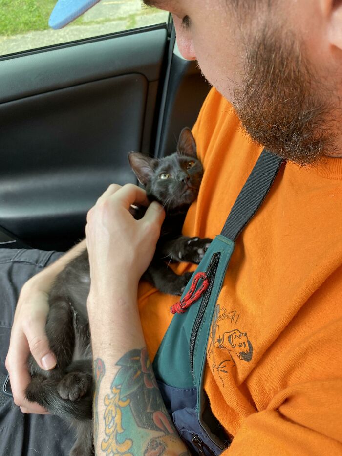 Lots Of Strange Things Happening In The World Lately. Adopted This Rescue Kitty Today To Help Make Both Our Lives Better