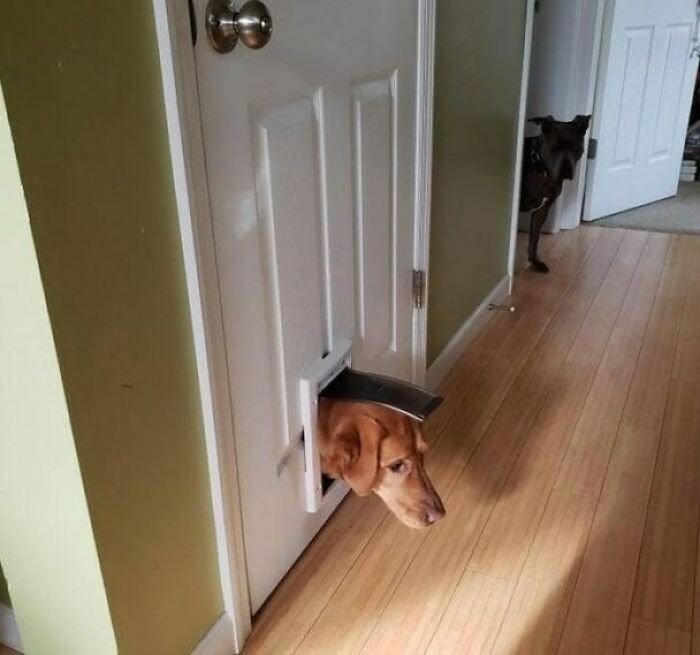 Hello?