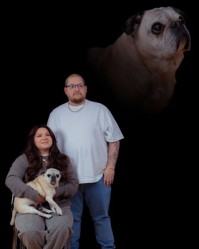 Quirky portraits of pets and their owners: a couple with their pug, and a floating pug head.