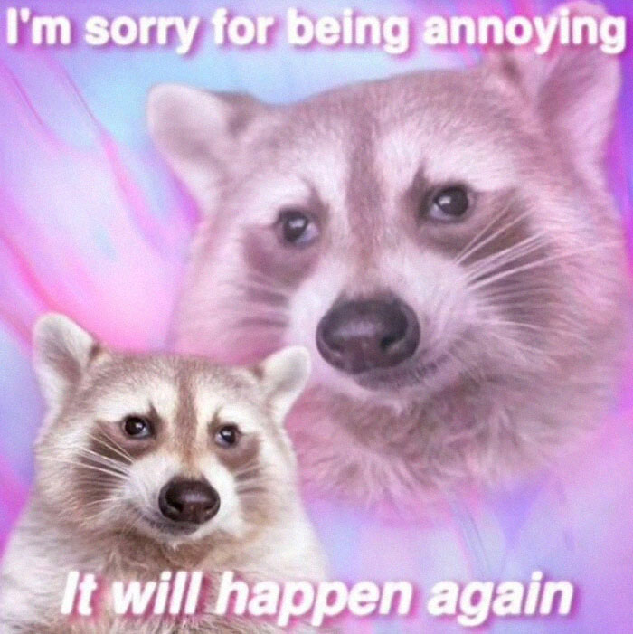 Raccoons Have Never Been More Relatable Than They Are In These 30 Dark Humor Memes