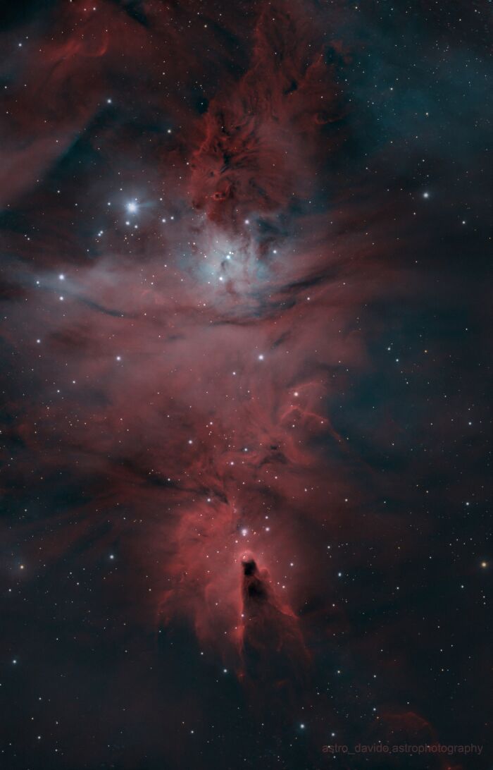 Detailed view of red and blue nebula in Kentucky backyard astrophotos