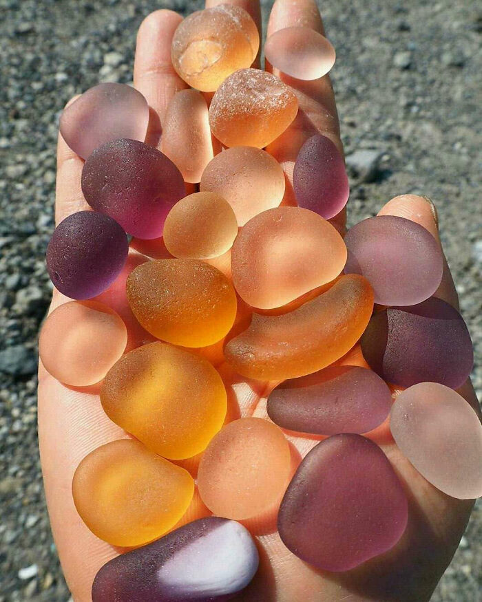 A hand holds a variety of colorful, smooth, sea glass pieces in shades of purple, orange, and clear, representing forbidden foods.
