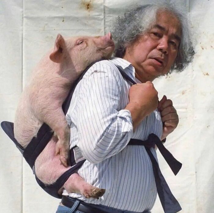 IG Account Posts Pics So Adorable, It’s Basically The Opposite Of Doom Scrolling (30 Pics)