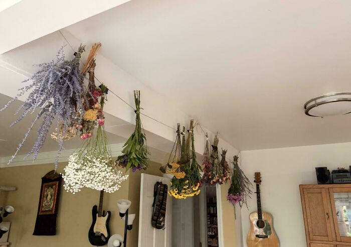 Dried flowers hanging from a ceiling for home decor in quirky projects