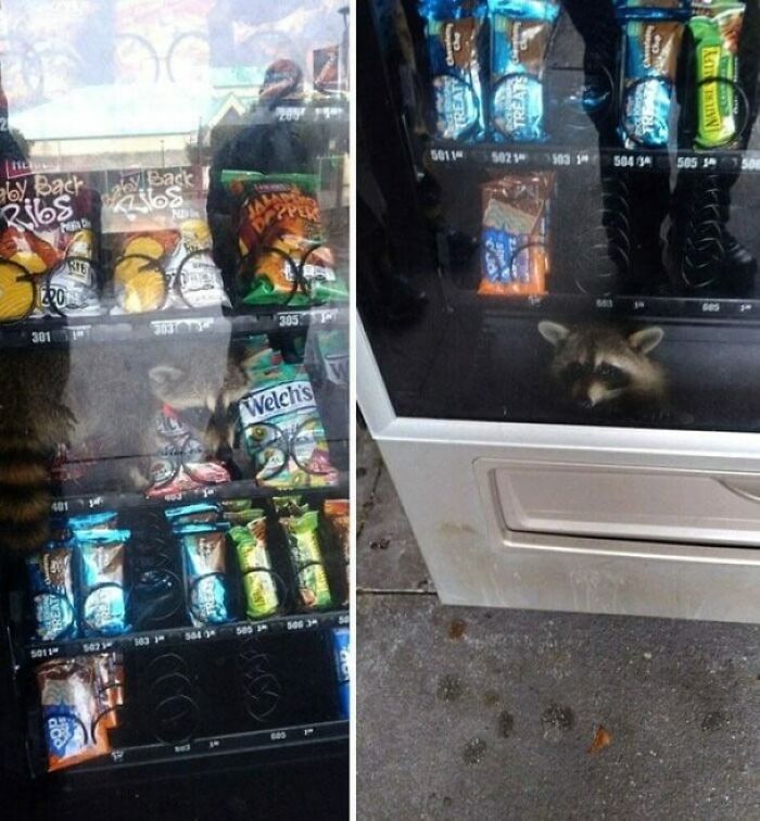 Help