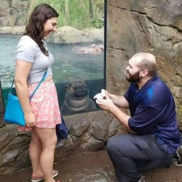 IG Account Posts Pics So Adorable, It’s Basically The Opposite Of Doom Scrolling (30 Pics)