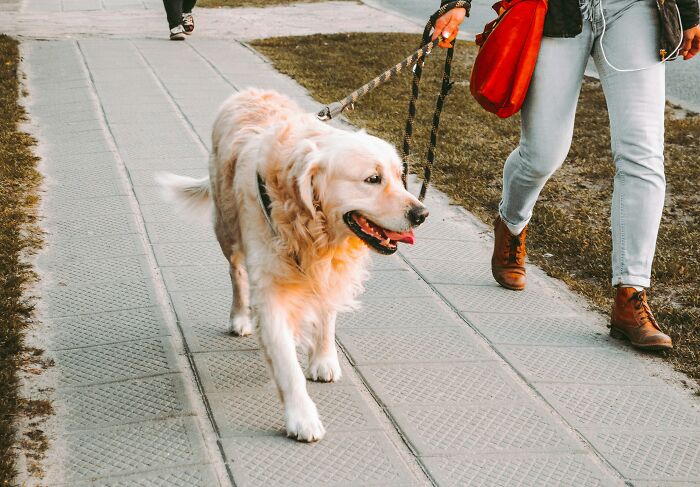 Warning Signs: 47 Times People Trusted Their Instincts And Left