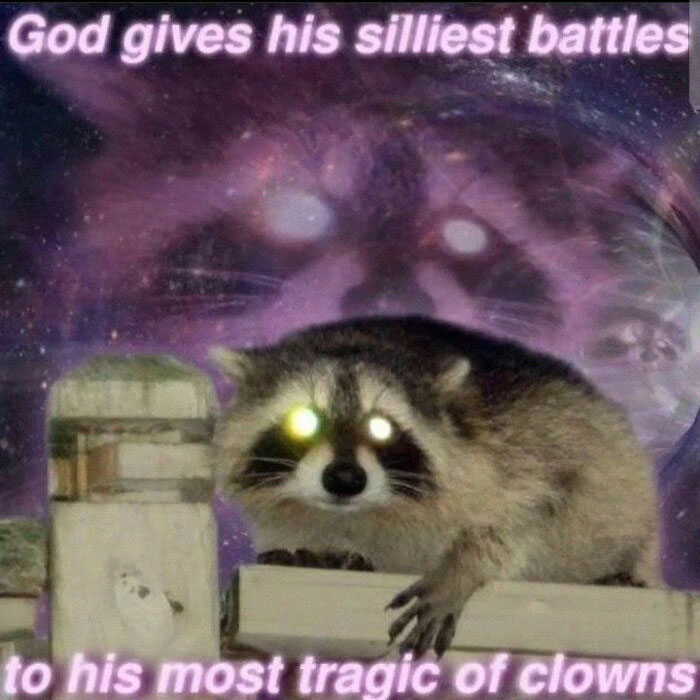 Raccoons Have Never Been More Relatable Than They Are In These 30 Dark Humor Memes