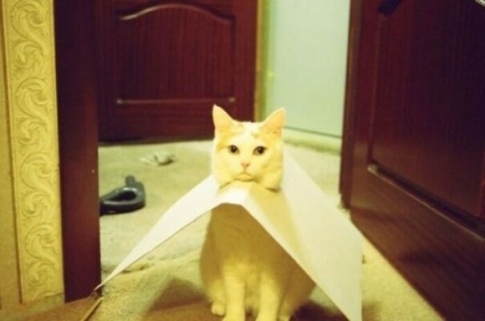 You're Home Early