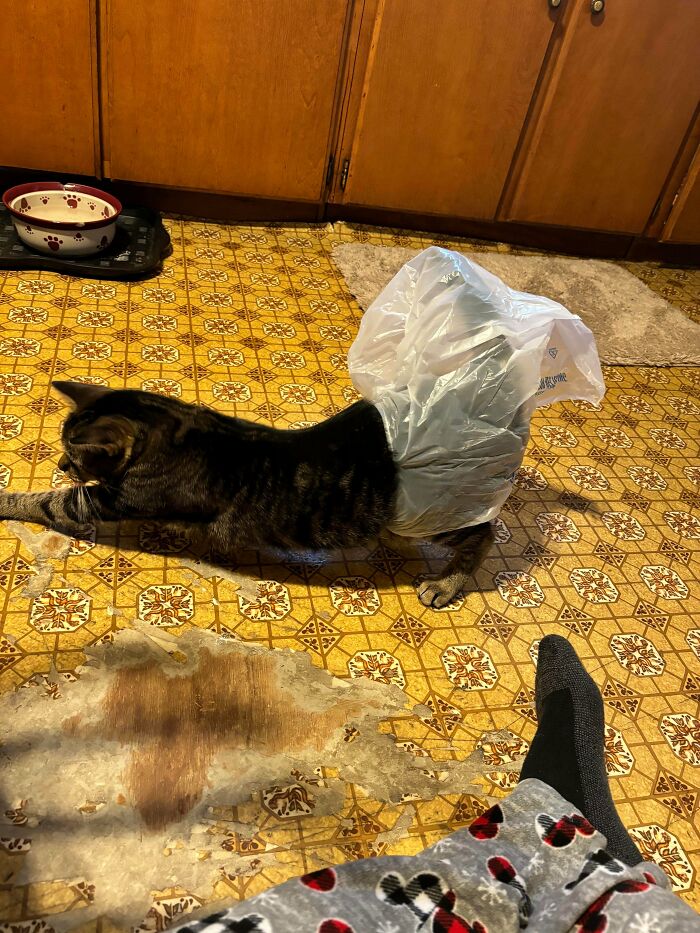 She Got A Bag Stuck Around Her Waist