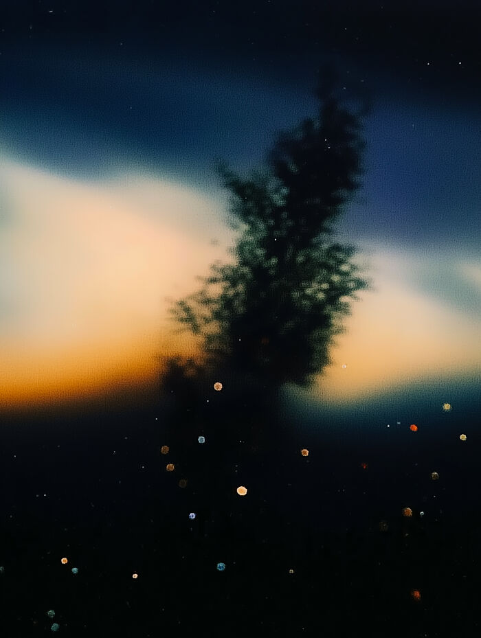 Mystery Or Misery