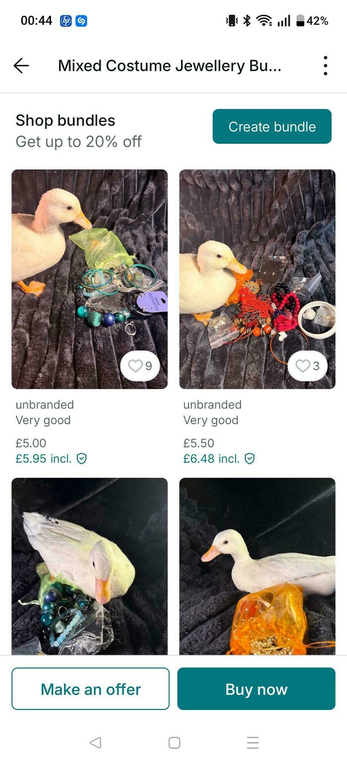 Pet Duck In Photos