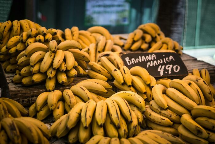 Confidently Wrong: 34 “Facts” People Believed For Far Too Long