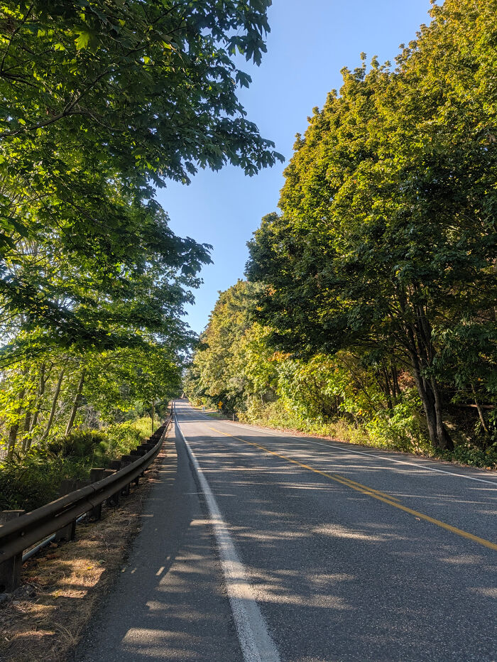 Long road surrounded by lush trees for 356 miles walk to help leukemia patients find a match