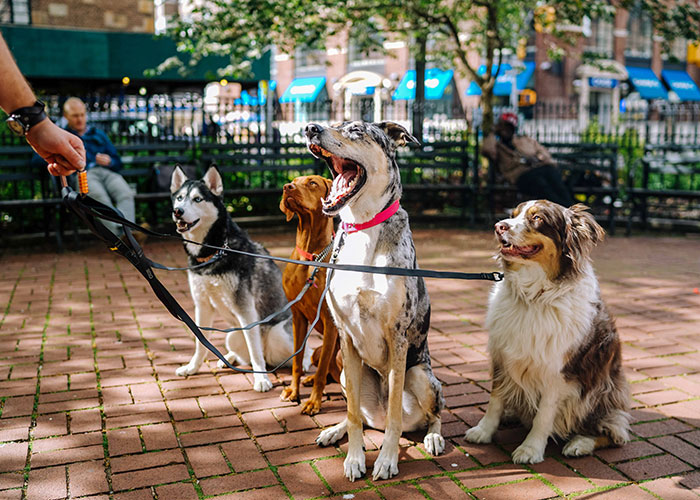 29 People Share Things That Feel Illegal Even Though They're Perfectly Fine