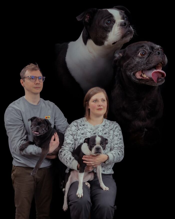A photographer captured a man, woman, and three dogs in silly and quirky portraits of pets and their owners.