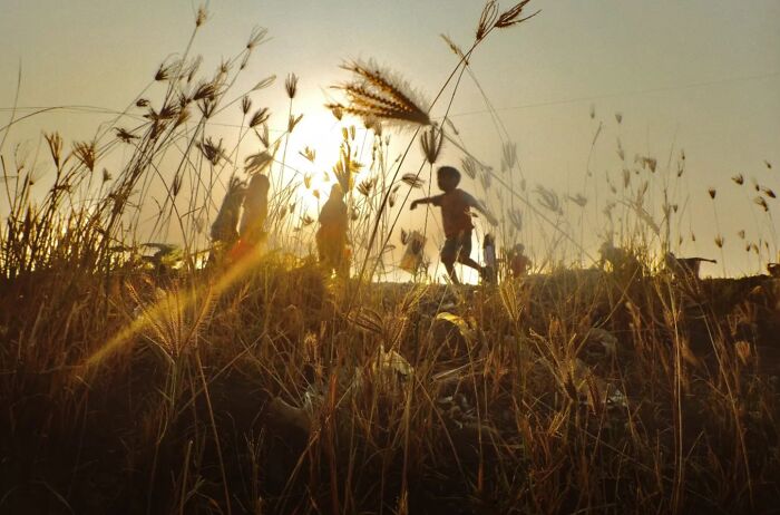 Whispers In The Tall Grass