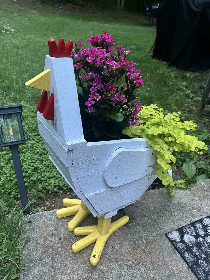 White wooden chicken planter holding purple and green plants outdoors