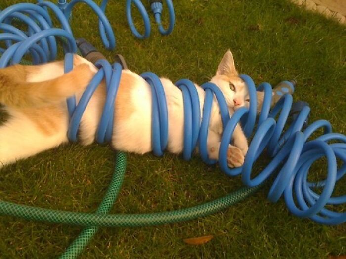 Move Along, Nothing To See Here