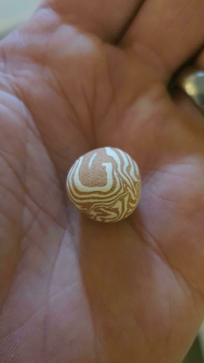 A close-up of a person's palm holding a small, round, brown and white swirled pebble, representing forbidden foods.
