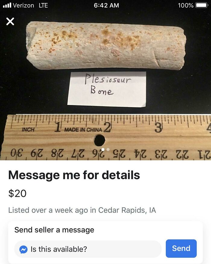 An image of a Plesiosaur bone being sold for $20, with a ruler for scale. Forbidden foods.