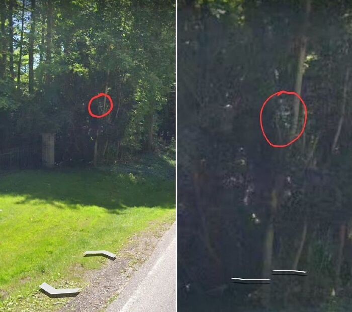 Mysterious silhouette spotted in the woods in real-life photos like a horror movie background