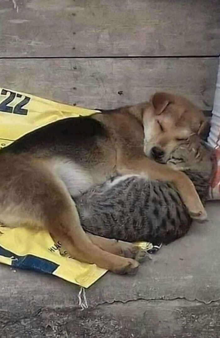 They're Best Friends.. ❤️💯