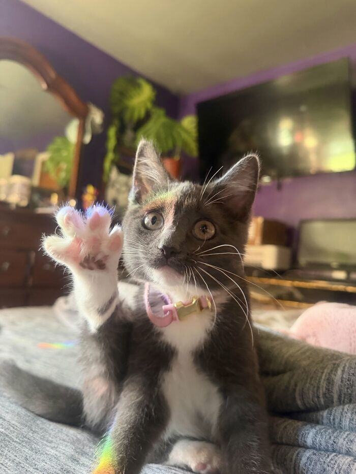 This Is Norma Jean