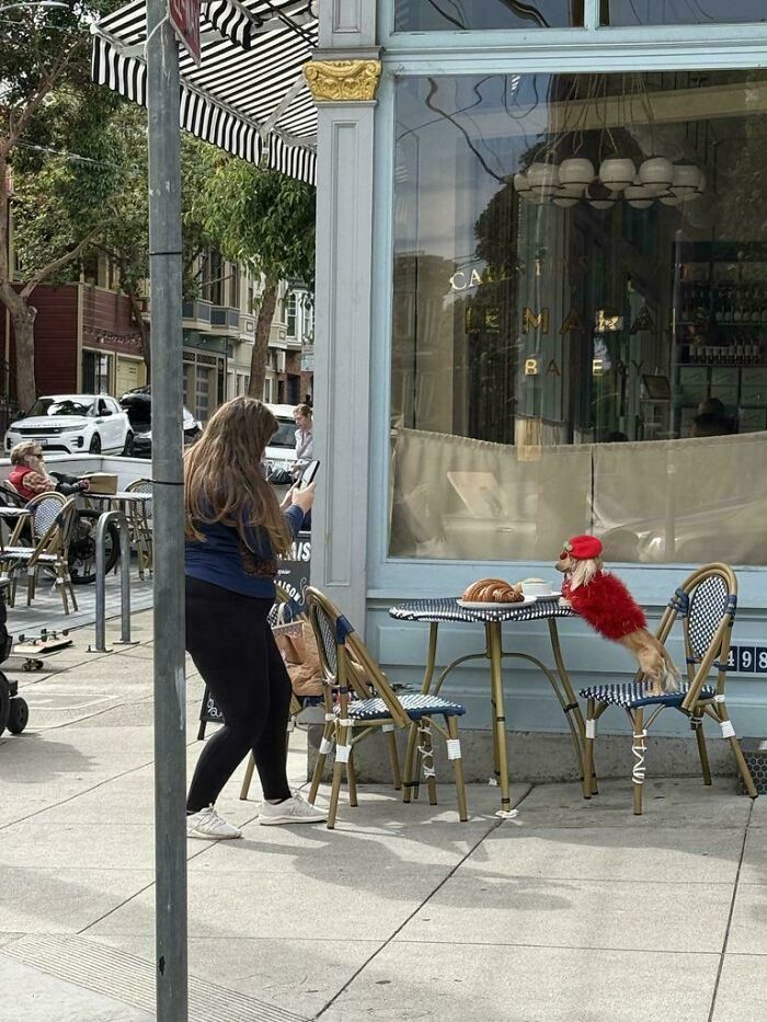 Woman posing a dog in a red coat outside a cafe for influencers content studio photos