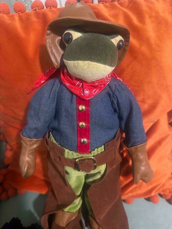 A cute plush cowboy frog doll found during a search for thrift store finds.