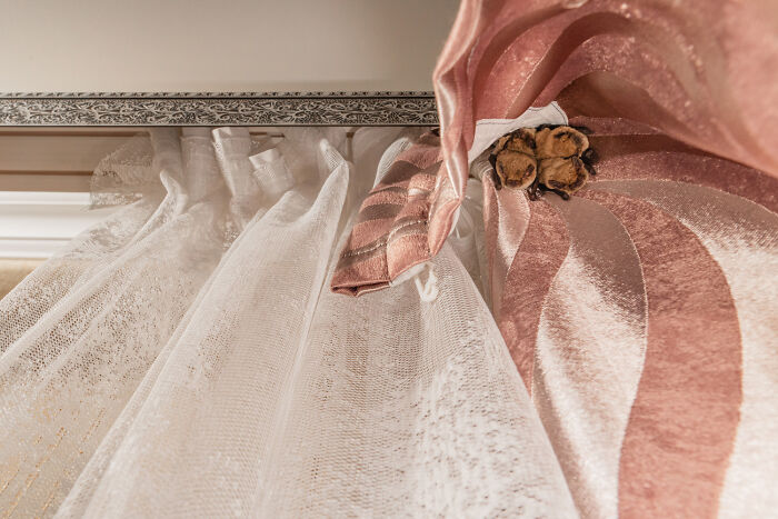 Wildlife photo of tiny bats roosting hidden behind pink and white curtains inside a home.