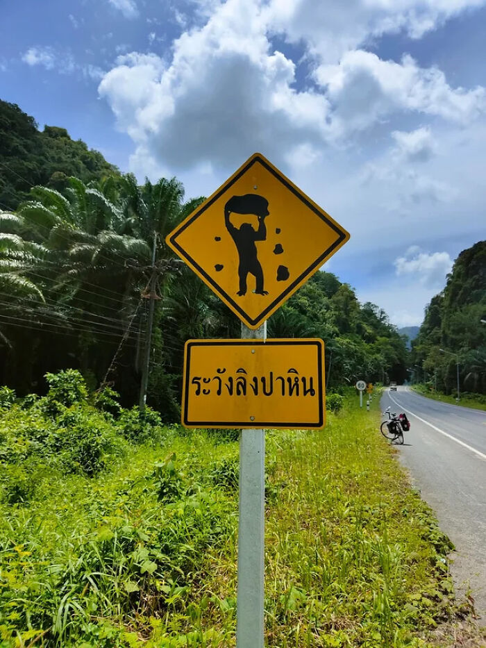 A yellow diamond road sign warning of throwing monkeys, showcasing funny signs from around the world.